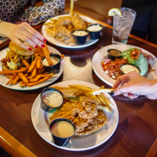 Paddy O\'Neills